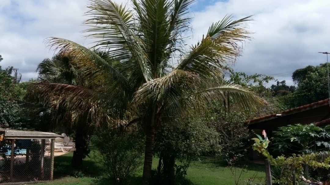 Fazenda à venda com 2 quartos, 200m² - Foto 3