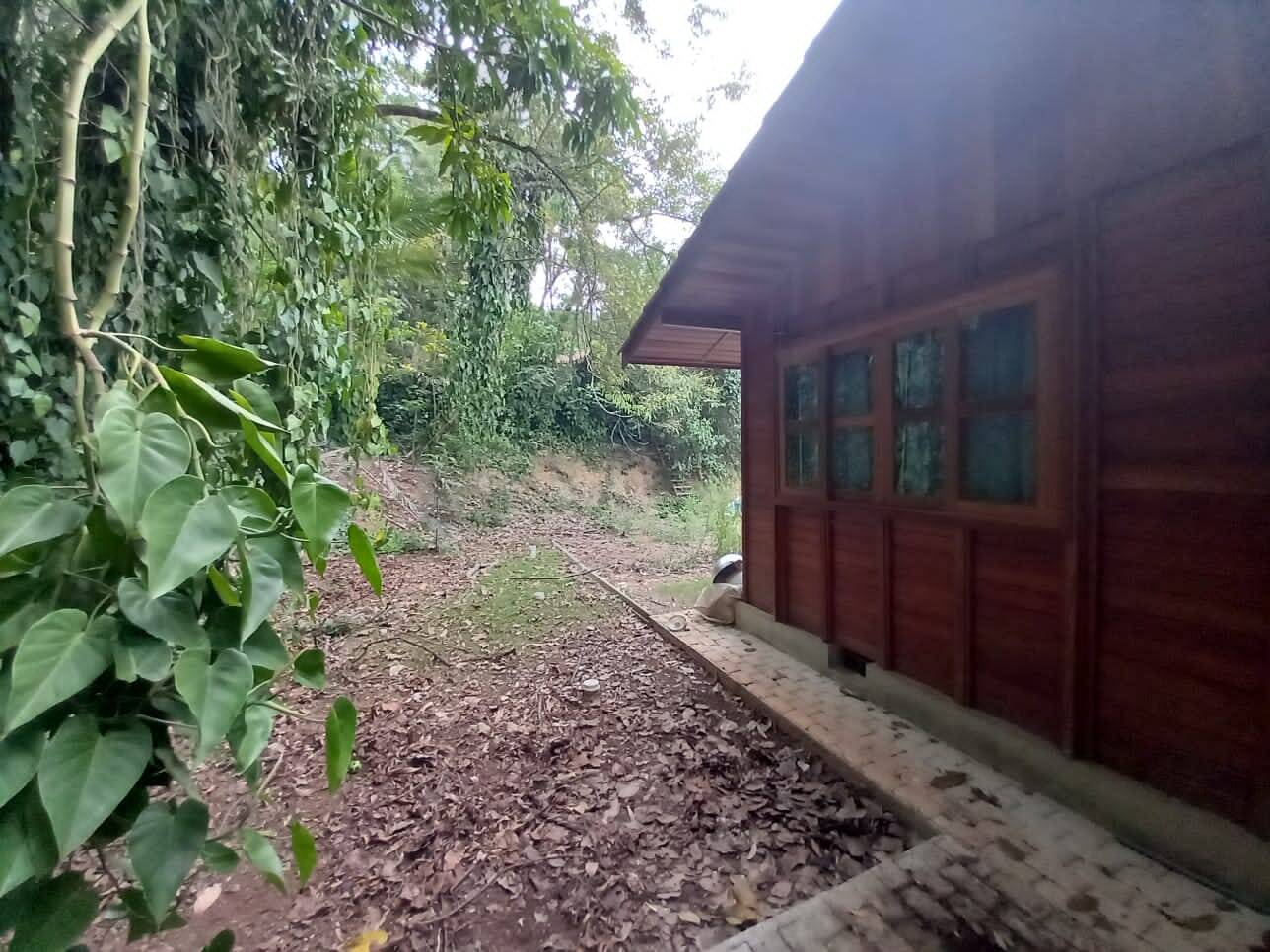 Fazenda à venda com 3 quartos, 120m² - Foto 5