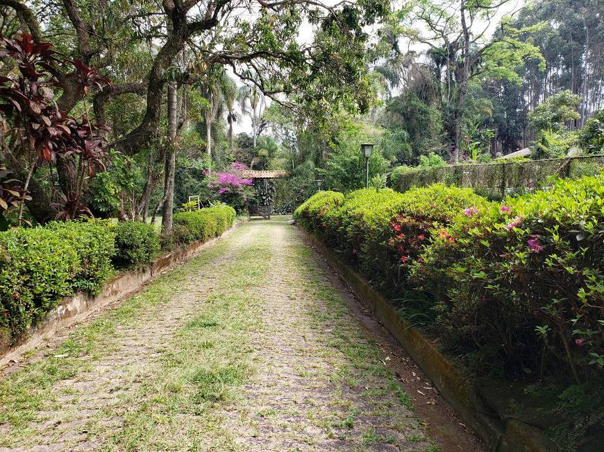 Fazenda à venda com 10 quartos, 1000m² - Foto 5