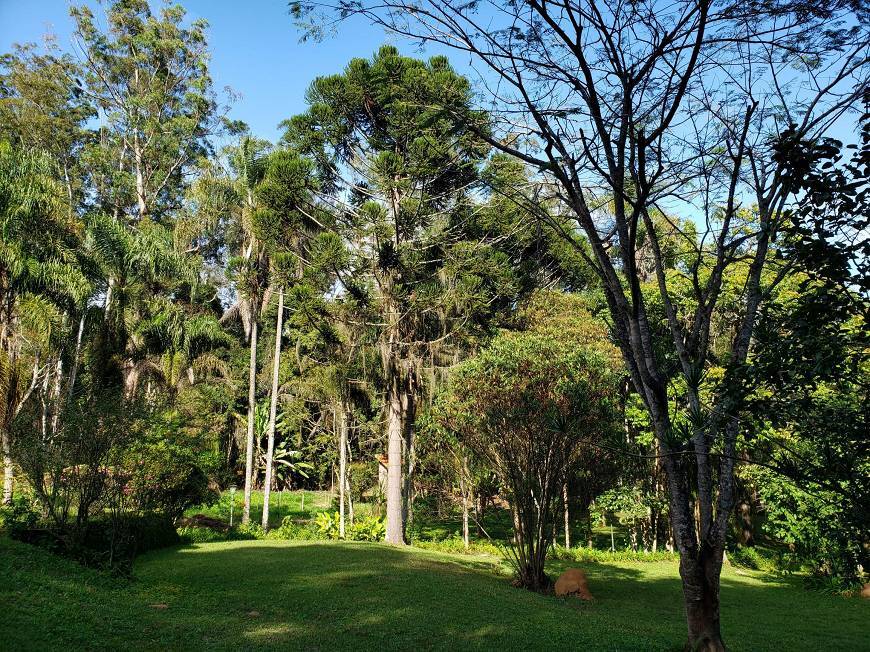 Fazenda à venda com 10 quartos, 1000m² - Foto 25