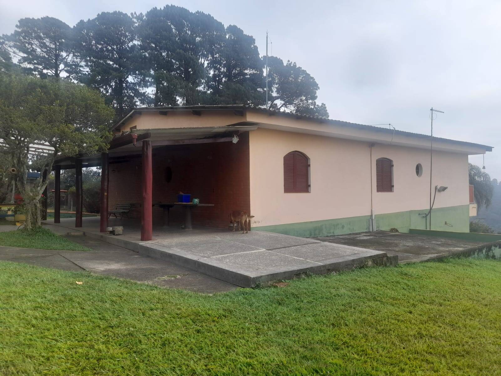 Fazenda à venda com 5 quartos, 500m² - Foto 14