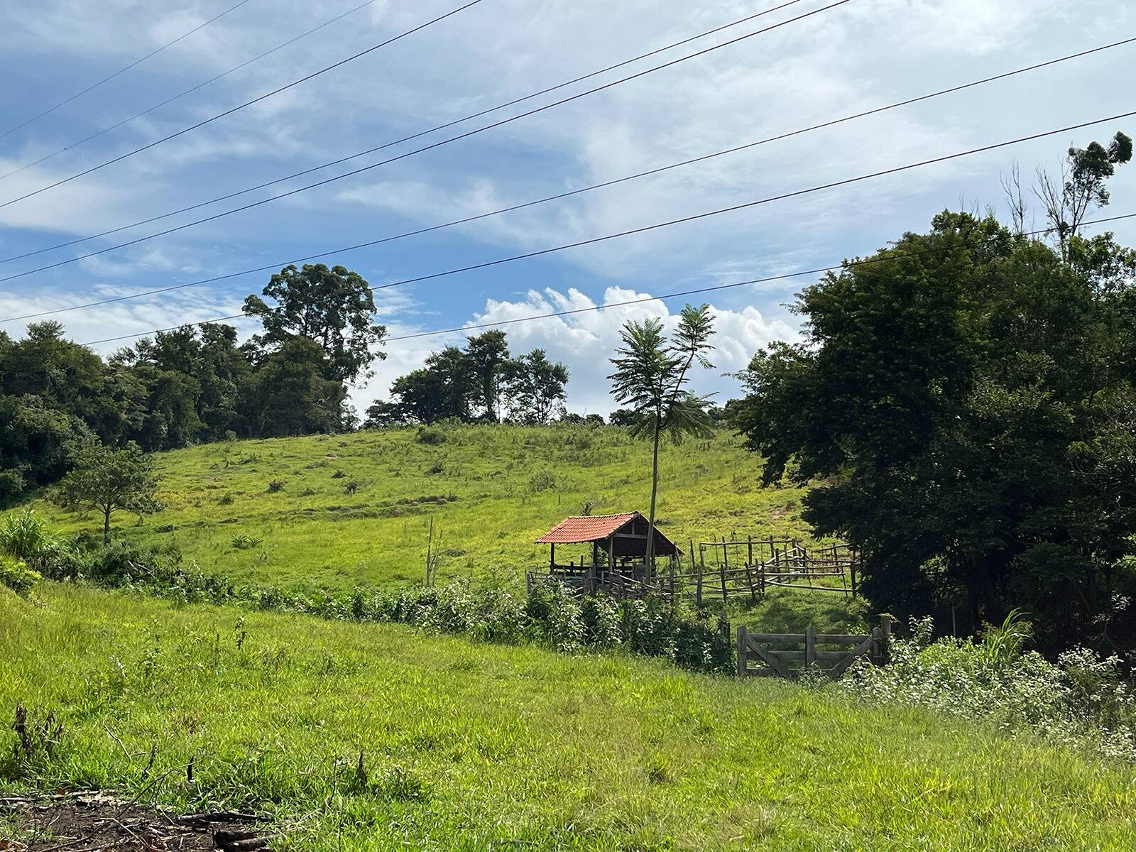 Fazenda à venda com 3 quartos, 48000m² - Foto 5