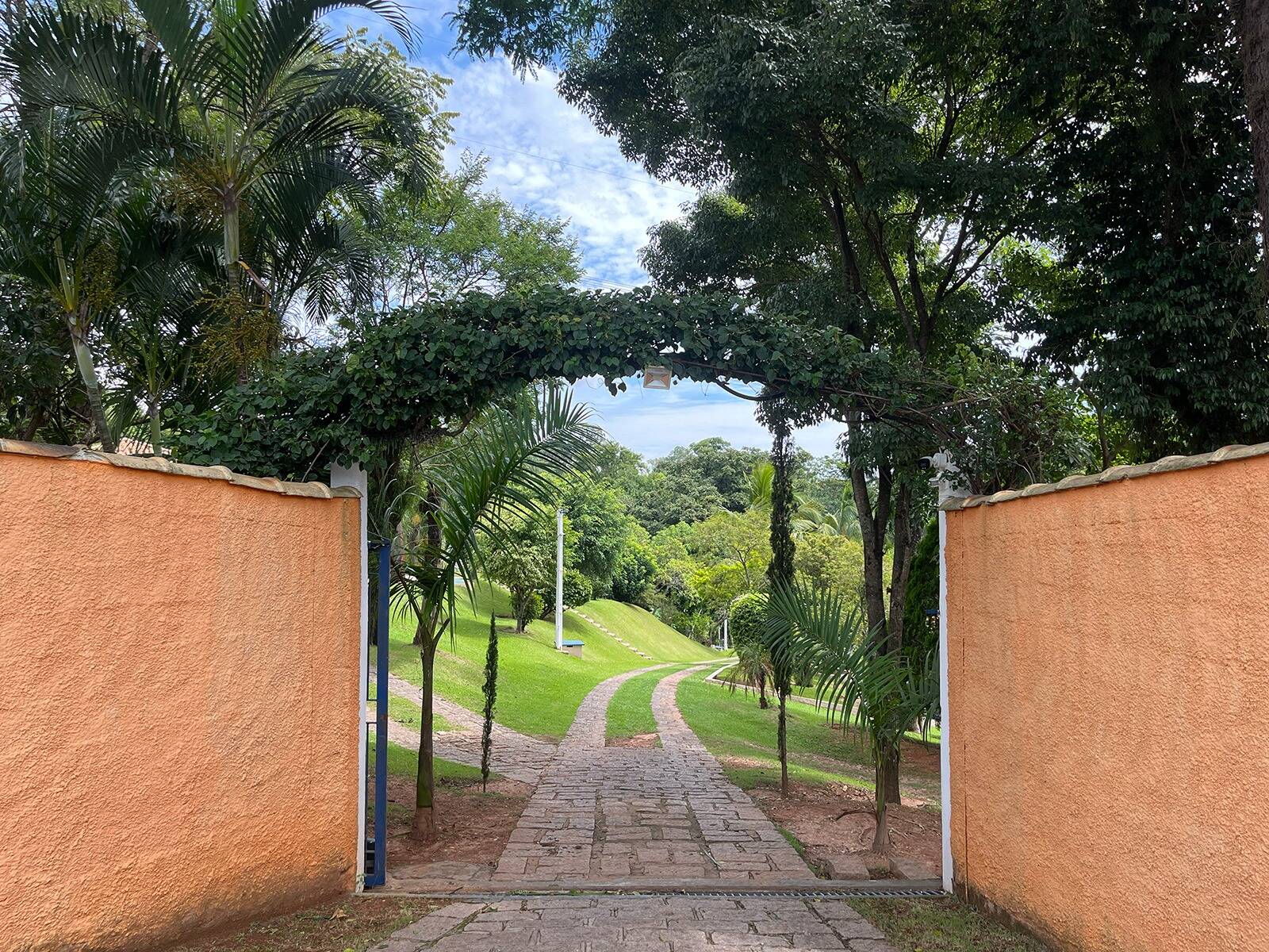 Fazenda à venda com 3 quartos, 48000m² - Foto 6