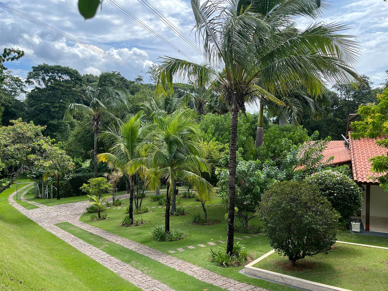 Fazenda à venda com 3 quartos, 48000m² - Foto 3