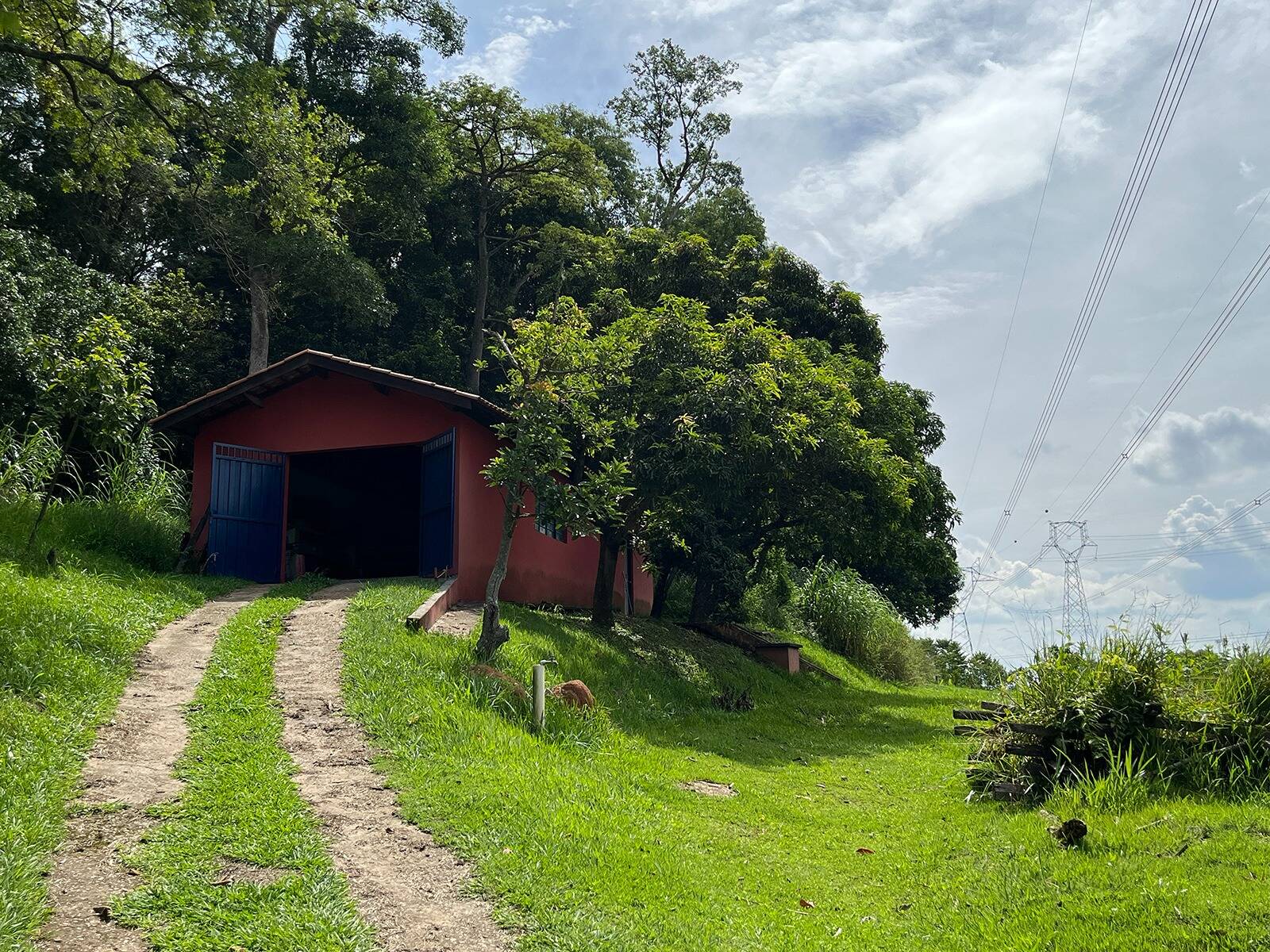 Fazenda à venda com 3 quartos, 48000m² - Foto 20