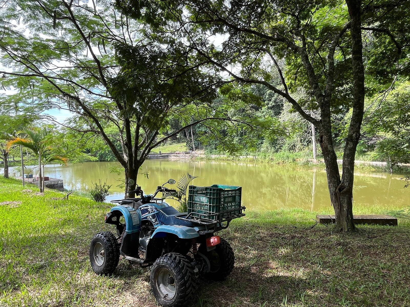 Fazenda à venda com 3 quartos, 48000m² - Foto 24