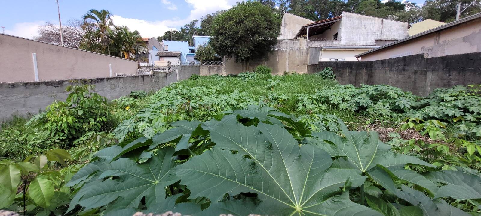 Terreno à venda, 340m² - Foto 4