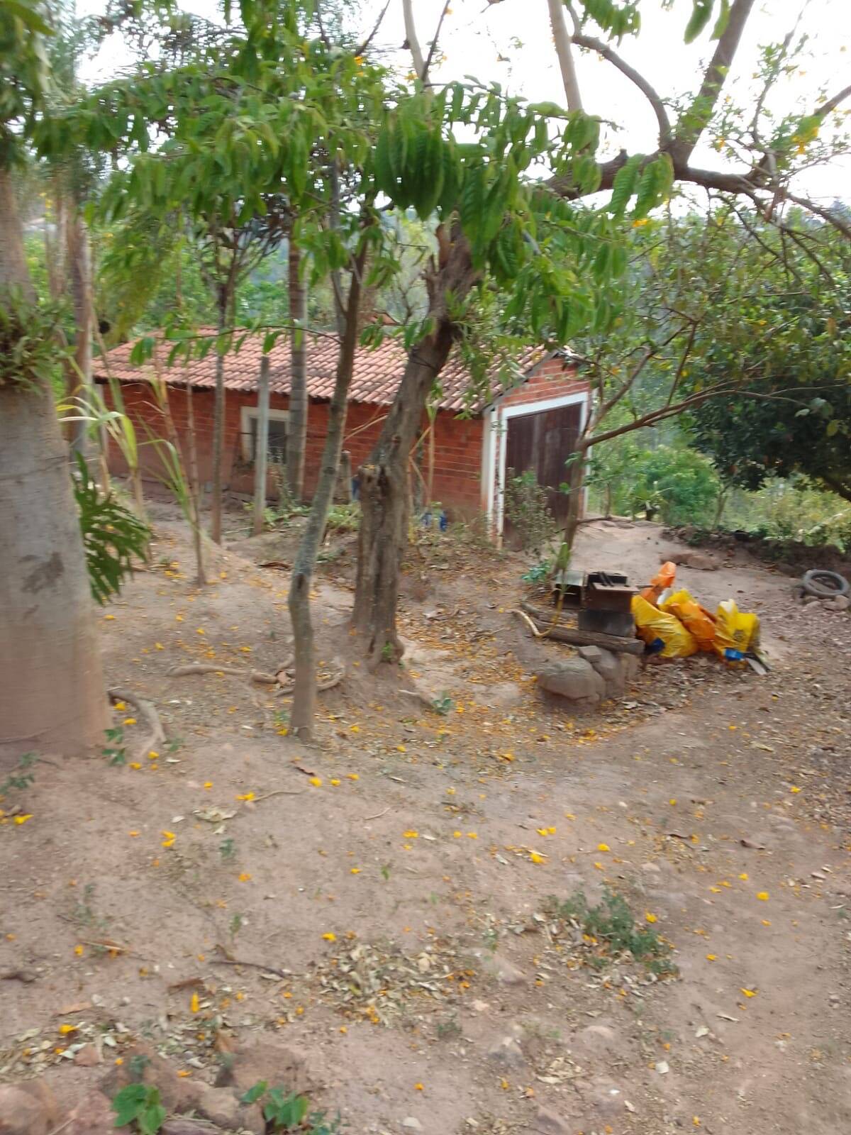 Fazenda à venda com 3 quartos, 200m² - Foto 13