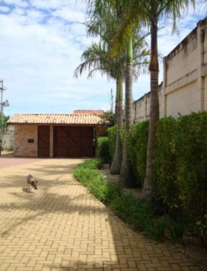 Fazenda à venda com 3 quartos, 350m² - Foto 4