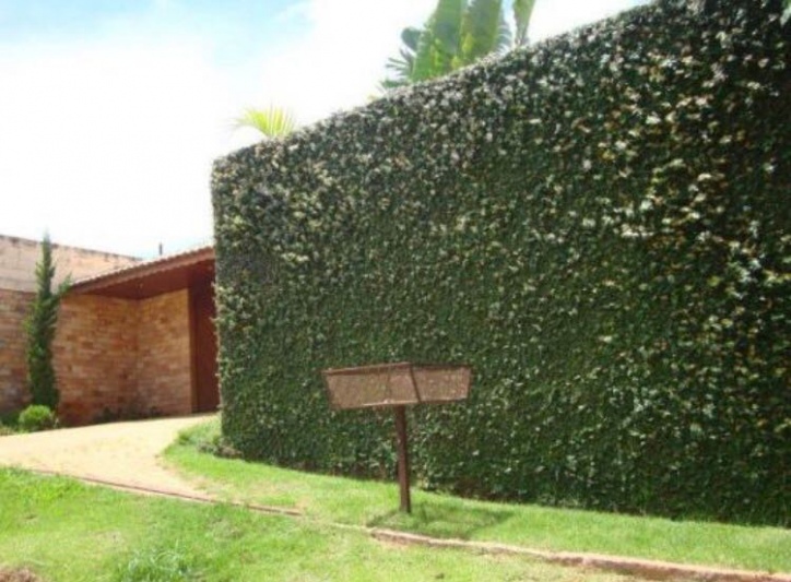 Fazenda à venda com 3 quartos, 350m² - Foto 6