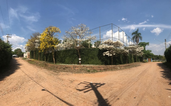 Fazenda à venda com 3 quartos, 350m² - Foto 17